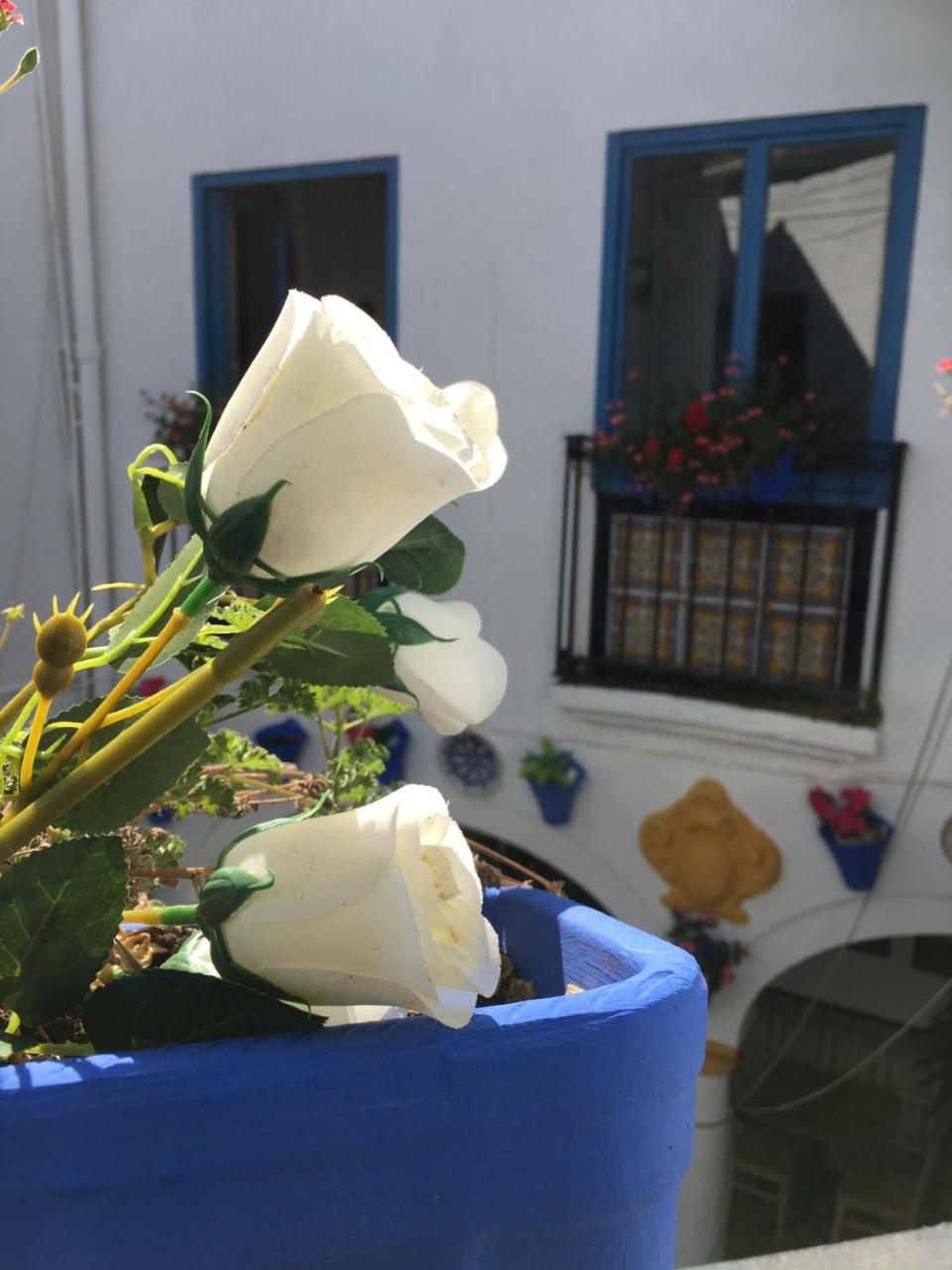 Seneca Hostel Kordoba Bagian luar foto