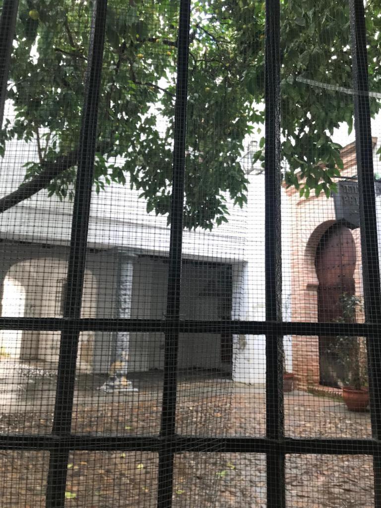 Seneca Hostel Kordoba Bagian luar foto