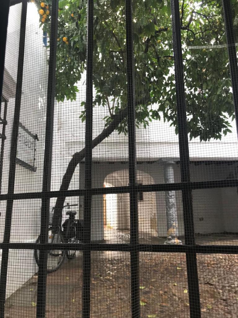 Seneca Hostel Kordoba Bagian luar foto